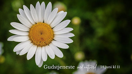 Gudstjeneste (15).jpg
