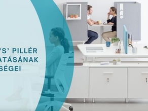 ESG S PILLÉR TÁMOGATÁSÁNAK LEHETŐSÉGEI