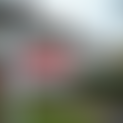 Expert Advice for UK Mortgage Seekers: Your Guide to Smart Decisions