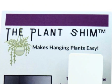 Lavender and Frogs: A Color Combo We Didn’t Know We Needed