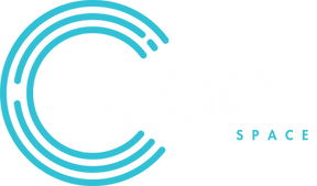 EAP SPACE LOGO-WHITE 2.png