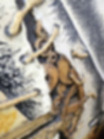 Thumbnail: Ephemeral Idyle