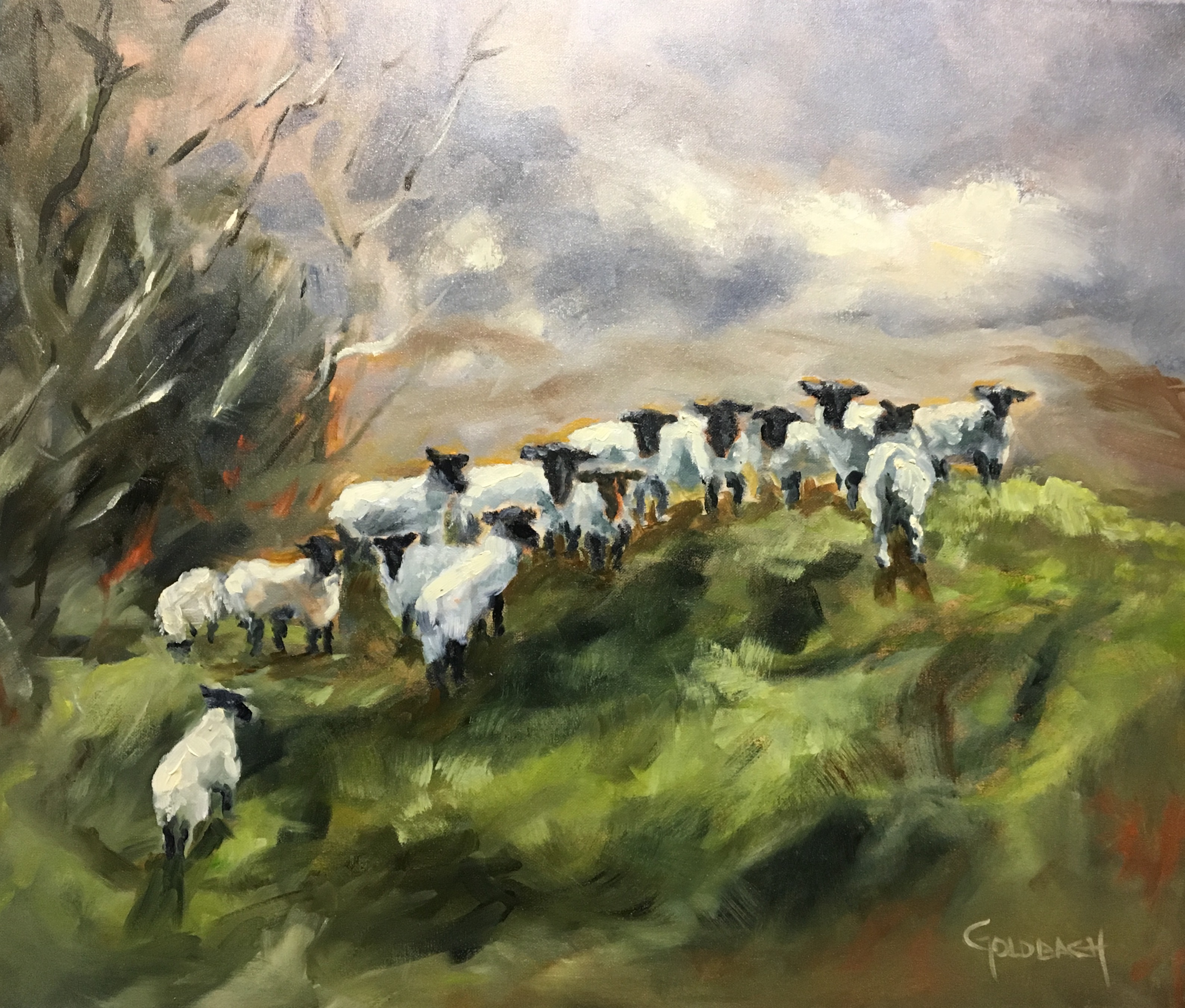 "Top o' the Fell"