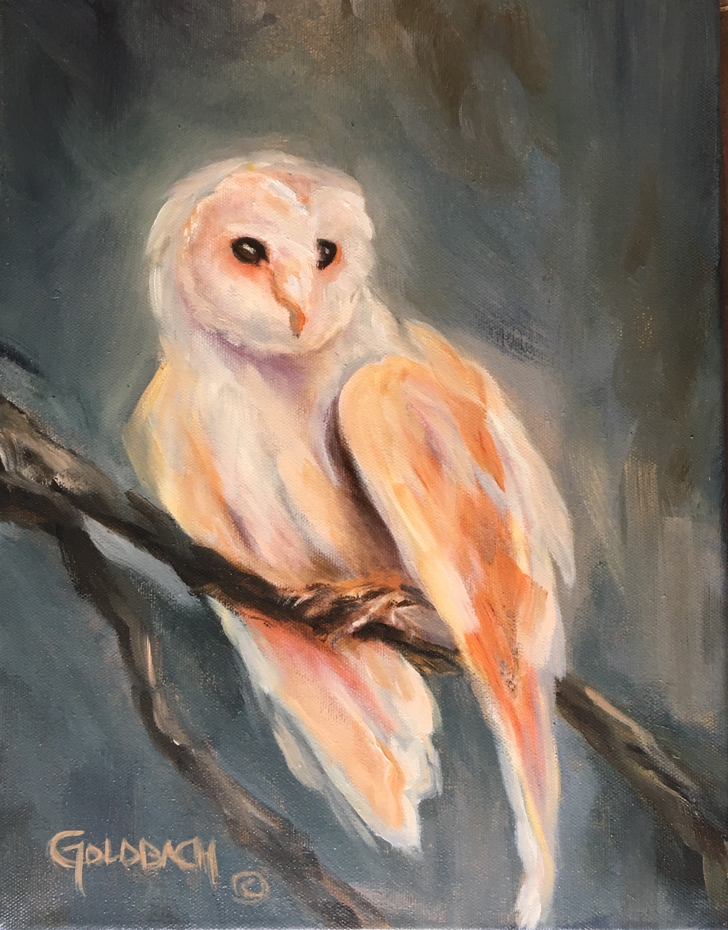 "Hoo's Watching"