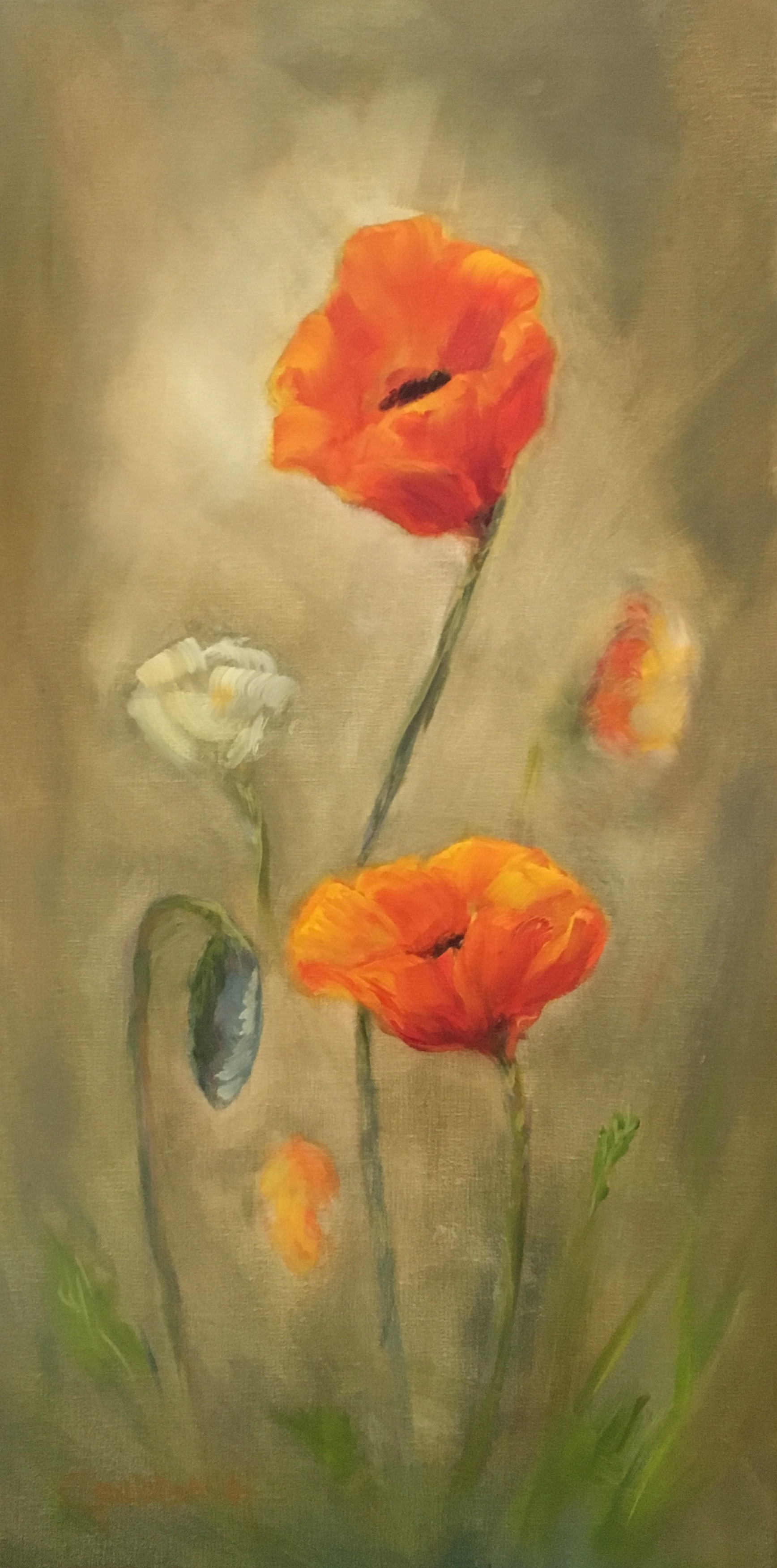 Summer Poppies