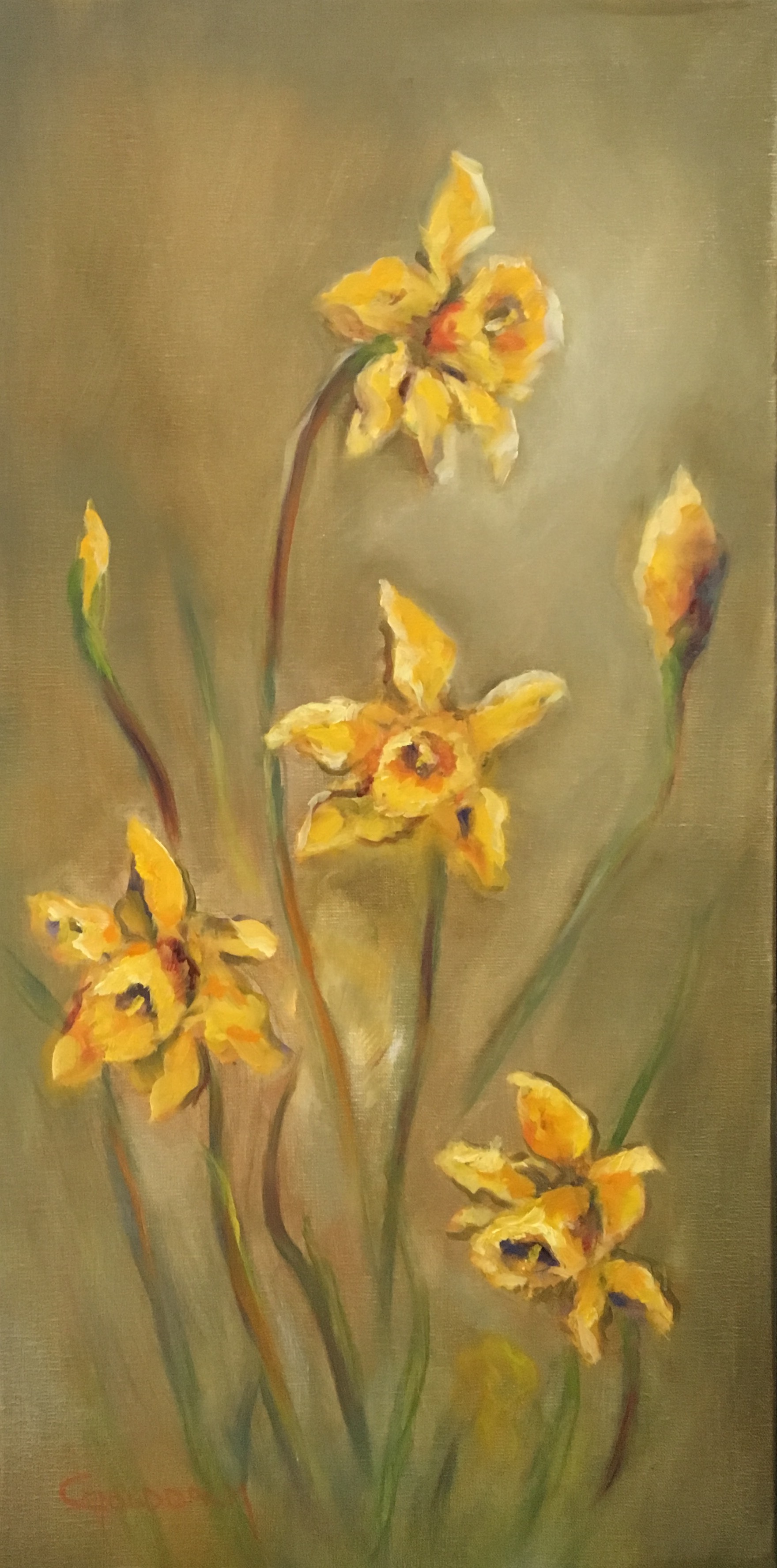Spring Daffodils