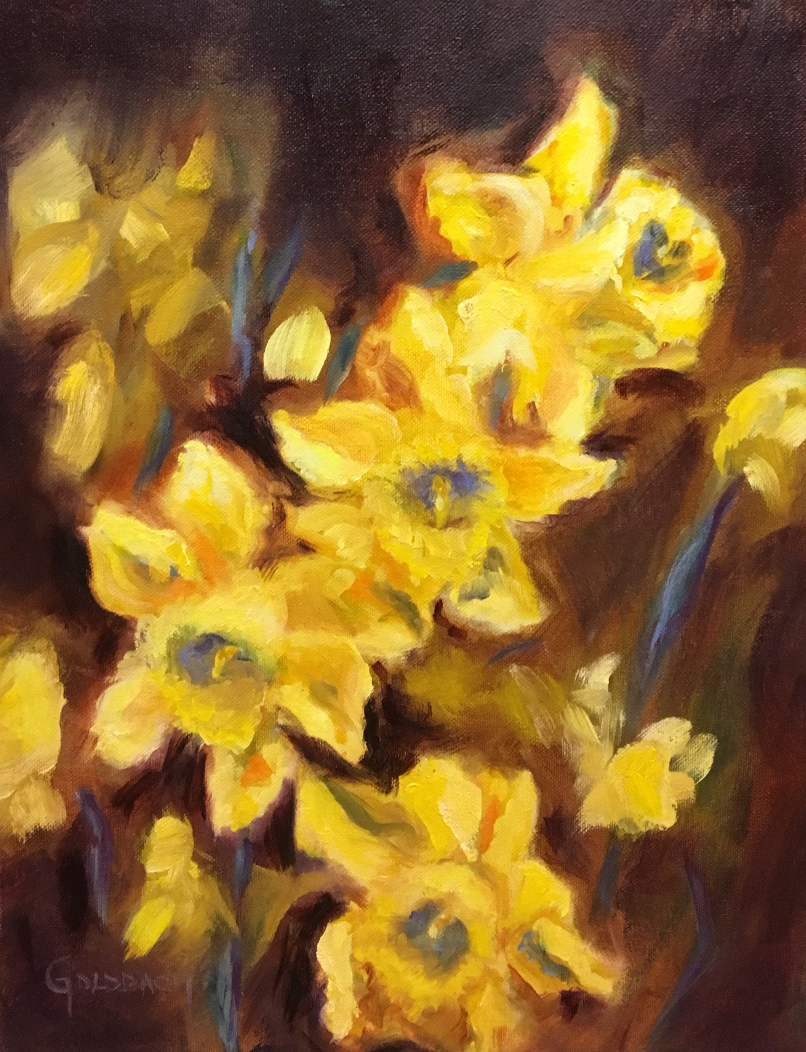 "English Daffodil"