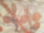 Silk Eco Printing 2