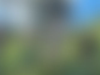 Impact That Moves Coffee Forward