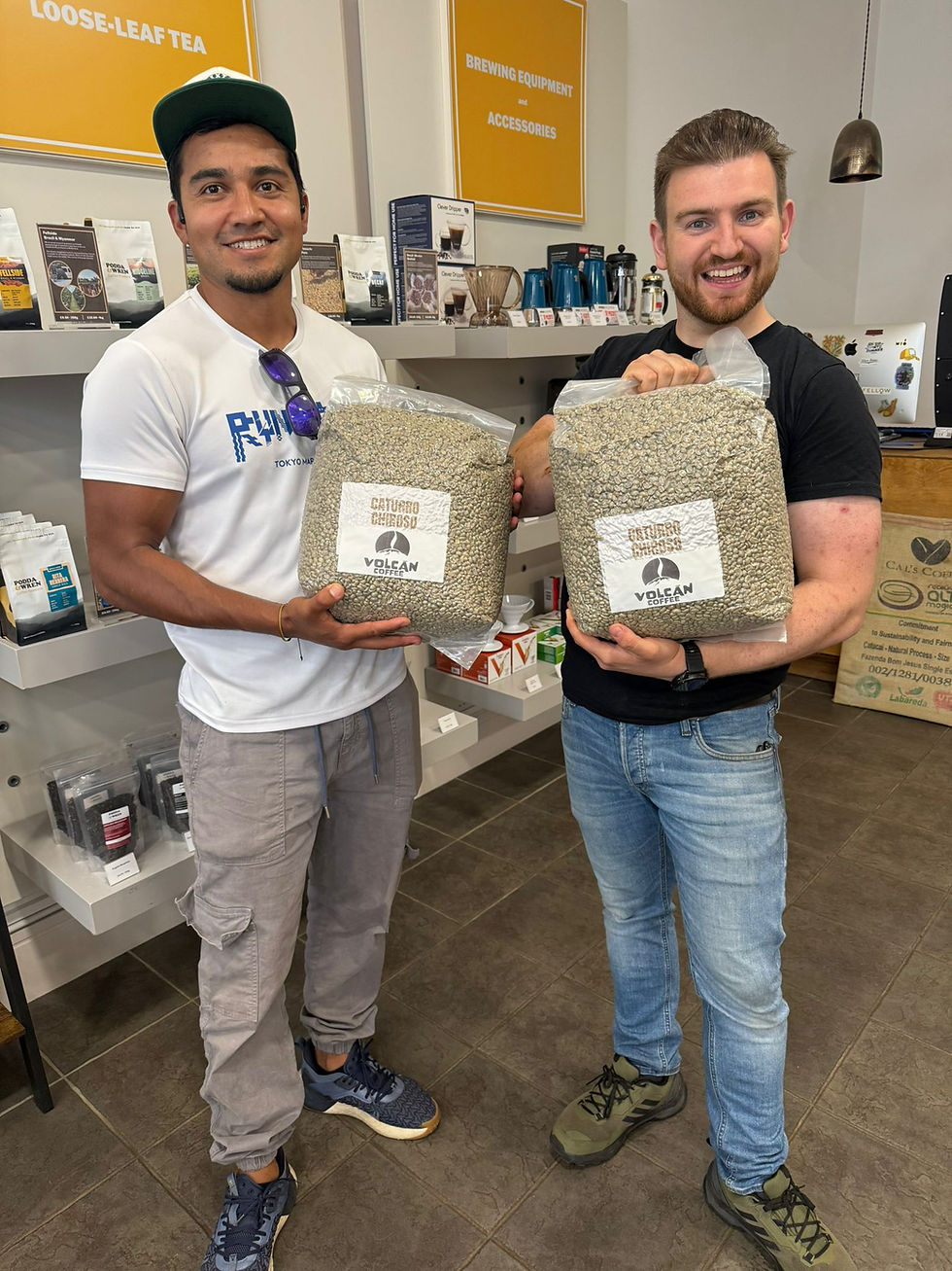 Green Coffee | Volcan Coffee