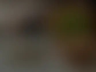 What is a CSR Fund? A Complete Guide to Corporate Social Responsibility Funding