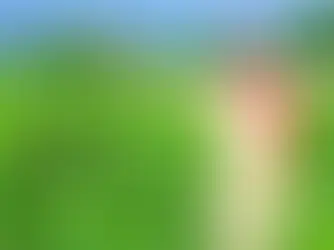 10 Key Elements of a Strong CSR Strategy Every Business Should Follow