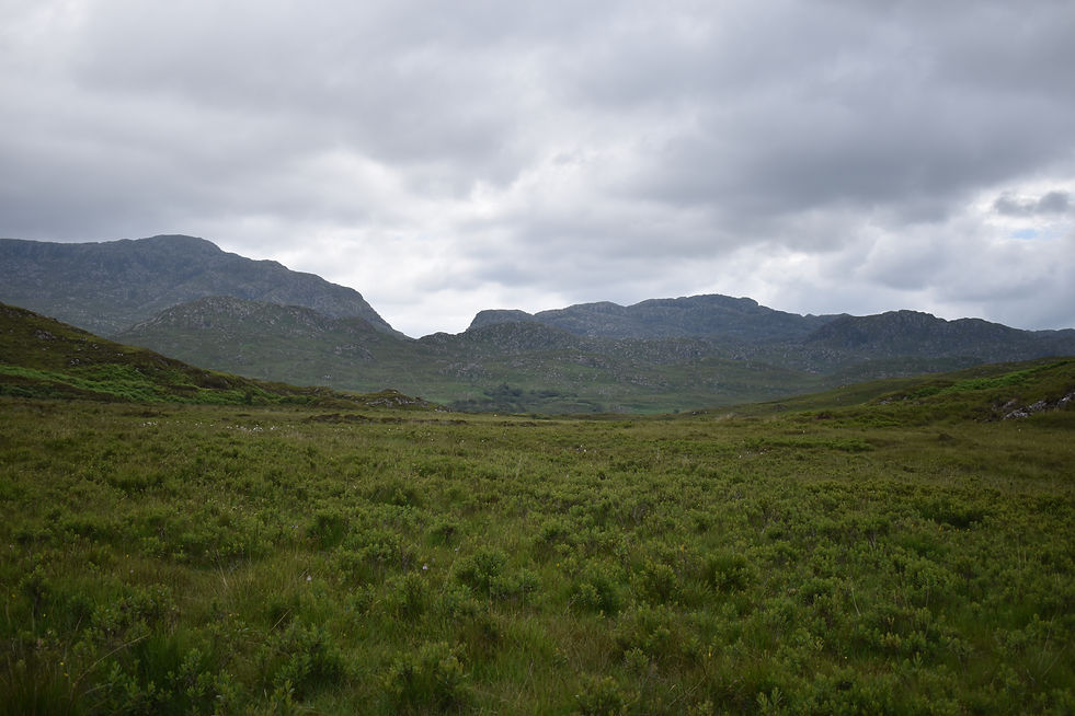 DSC_1831.JPG