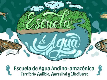 Putumayo acoge la Escuela de Agua Andino-amazónica: un tejido bioregional por la vida