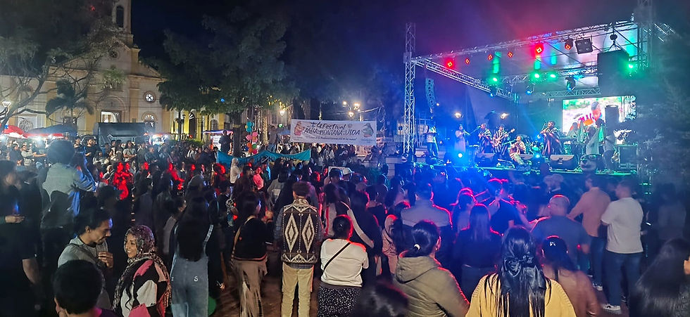 Concierto "Sonidos del agua, la Montaña y la Vida" 2025. Foto: @LaMingaKiwe