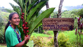 Soraida: Guardiana de plantas con sabor y ancestralidad a través de la cocina