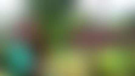 Soraida: Guardiana de plantas con sabor y ancestralidad a través de la cocina