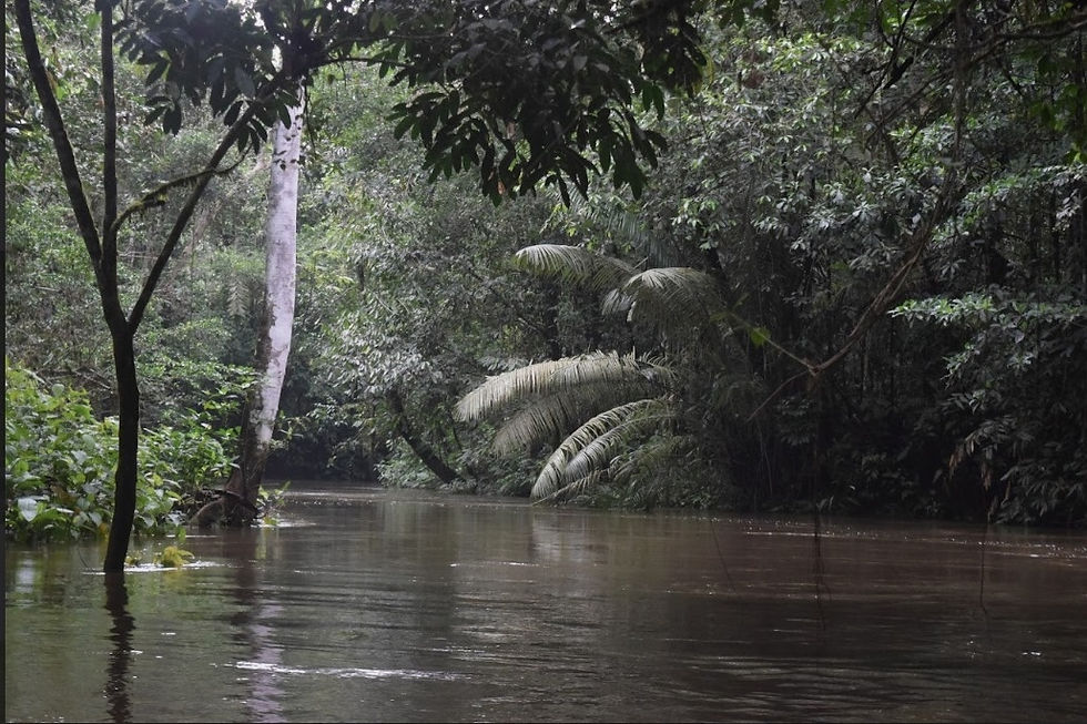 Uno de los caños del territorio Zio Bain. Foto: Brigitte Escobar Piaguaje.