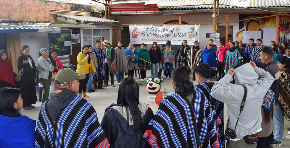 Mariposas, primates y comunidades se encuentran para cuidar la vida en el Putumayo
