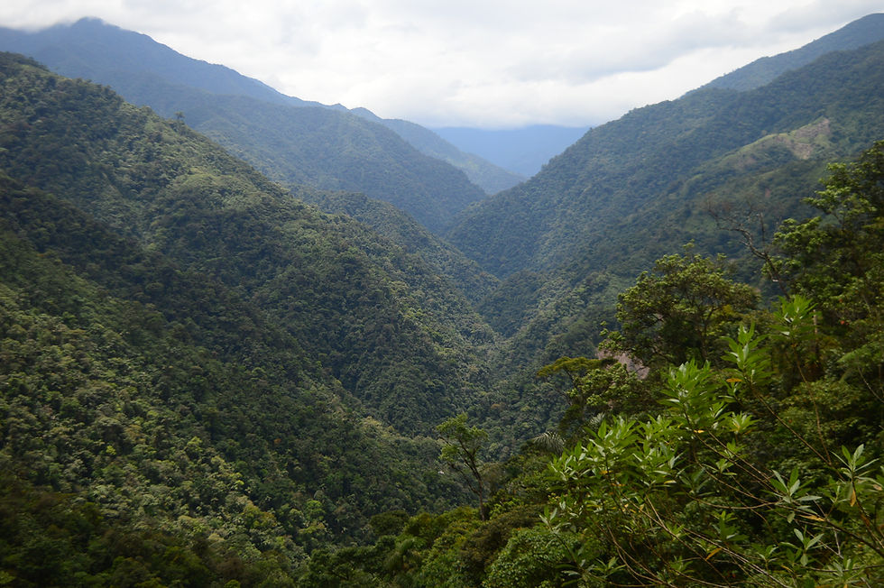 Territorio en disputa la jugada empresarial por los metales en el piedemonte andino amazonico colombiano