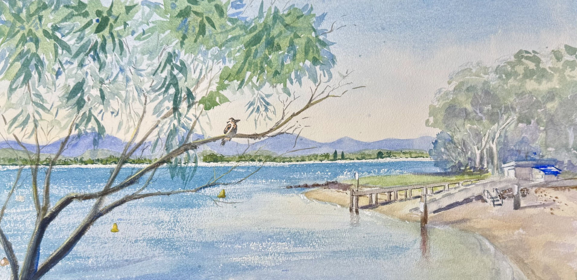 The Kookaburra, Little Beach   -  AU post incl.