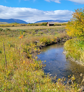 Flathead Creek