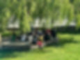 Willow Stage