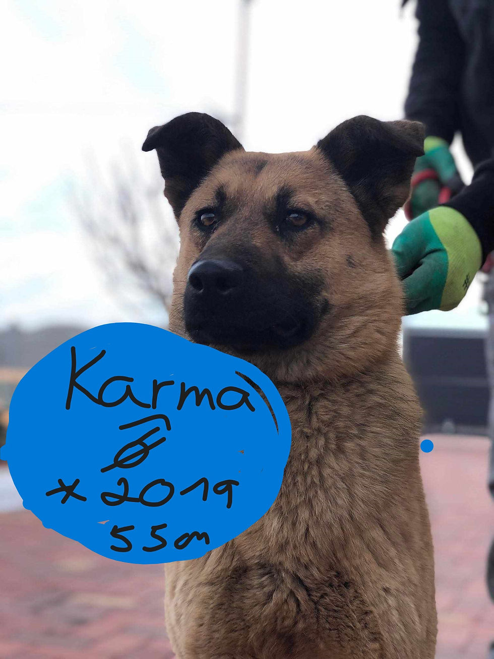 Karma1