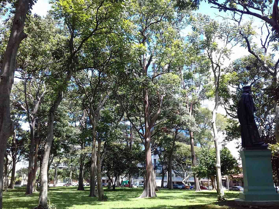 Fotografía de los jardines, árboles y el monumento conmemorativo del Parque del Café con la torre de QBO Skyhomes asomándose al fondo (5 de septiembre de 2017).