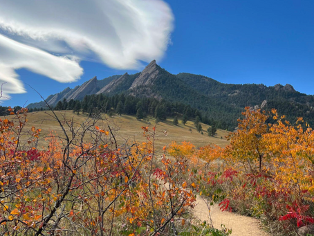 September Colorado Fall Foliage Report 2026: When and Where to See the Best Colors
