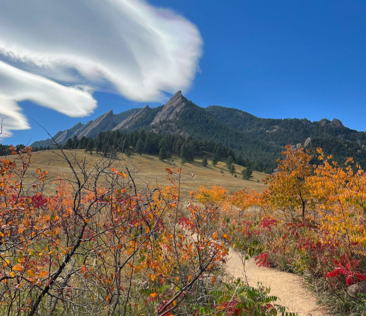 September Colorado Fall Foliage Report 2026: When and Where to See the Best Colors