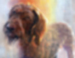 Thumbnail: MIXED MEDIA, Custom Pet Portrait on Wood