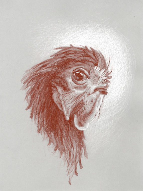 Thumbnail: SANGUINE, Custom Pet Drawing on Paper