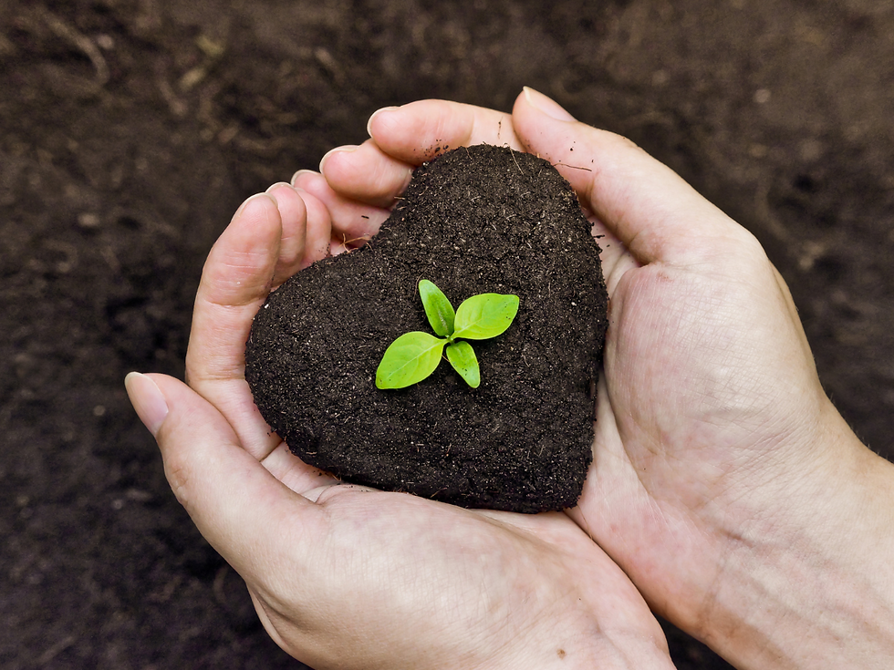 a heart made of soil with a planted tree