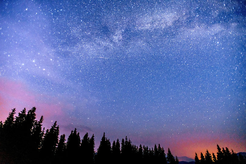 starry-night-sky-over-forest-trees-2026-03-24-07-07-22-utc.jpg