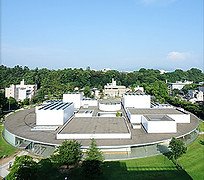 img.jpg