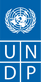undp.png