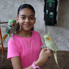 PARROT MOUNTAIN! | A PARK FULL OF BIRDS!