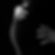 Maternity Photography