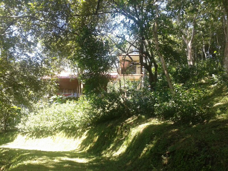 Samara Monkey Villa, Vacation Rental