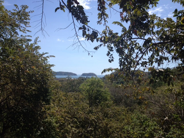 Samara Monkey Villa, Vacation Rental