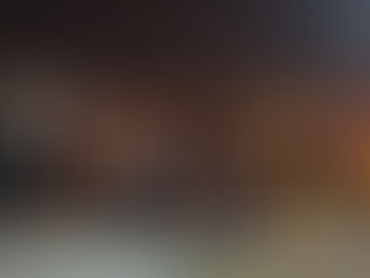 Kaplumbağalar -Fakir Baykurt