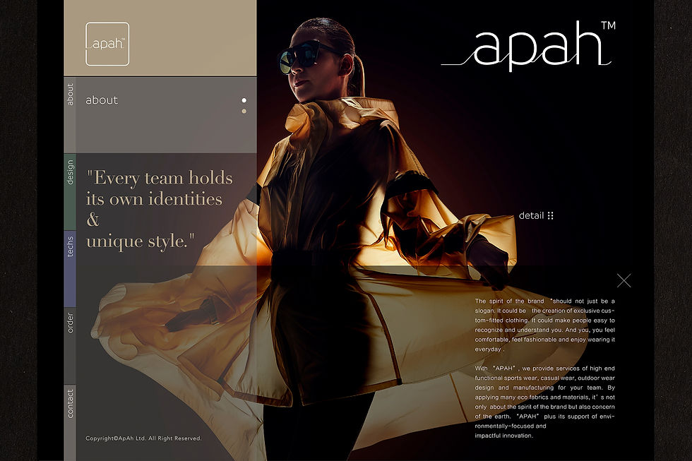 apah_VI_14.jpg