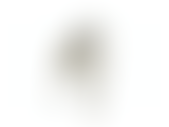 Pastor Maremano Abuzês