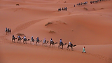 Banner_0003_Exoticos.png