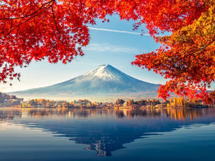 Japão: tudo que você precisa saber antes de comprar a passagem para sua viagem