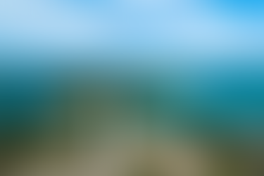 Saiba tudo sobra a Rota dos Milagres!