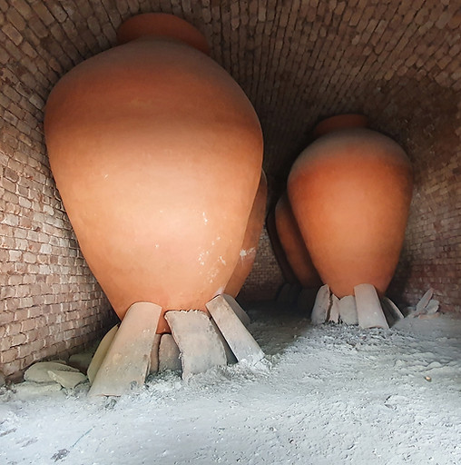 20220608_145532.jpg