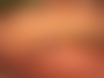 Palotina sediou etapa de Velocidade na Terra com grande público no Autódromo Municipal