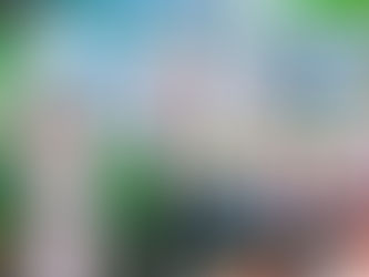 Palotina é destaque na 1ª etapa do Campeonato Paranaense de Karatê Interestilos